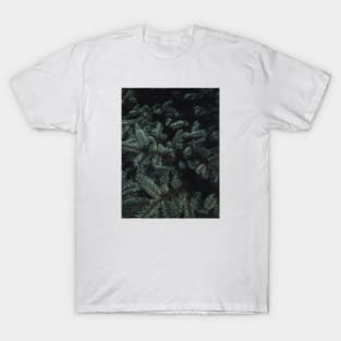 Inside The Dark Tree T-Shirt